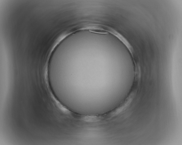 X0000112040909200908171508