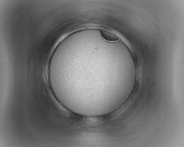 X0000112040911200908171508