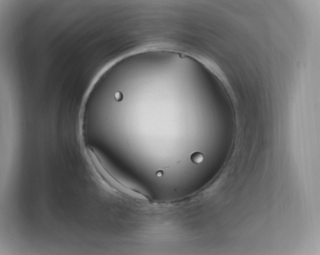 X0000112040912200908171508