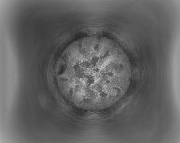 X0000112040913200908171508
