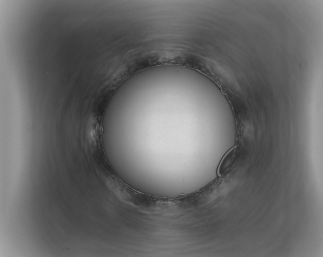 X0000112040914200908171508