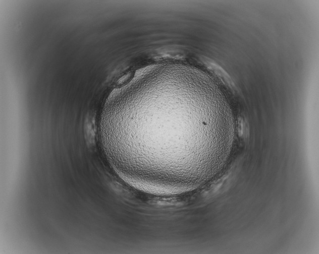 X0000112040915200908171508