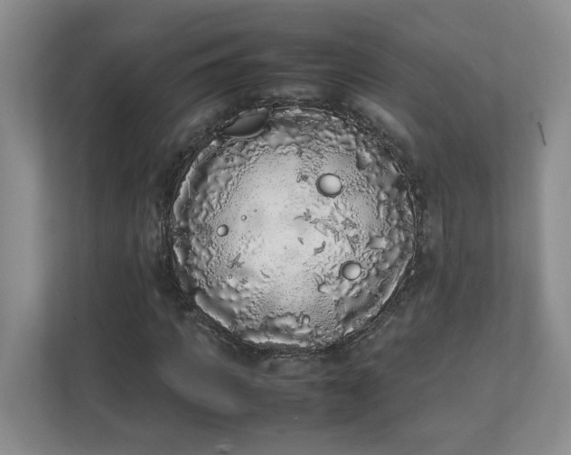 X0000112040917200908171508