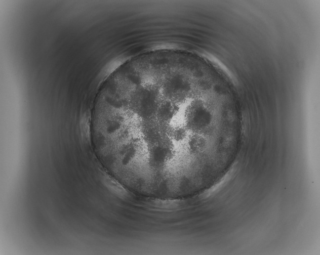 X0000112040921200908171508
