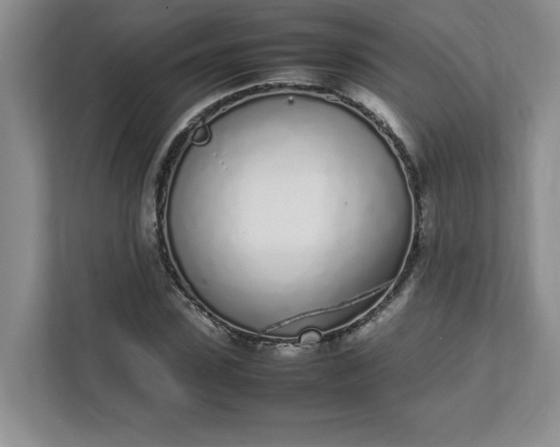X0000112040923200908171508