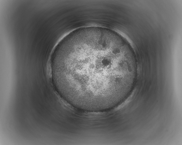 X0000112040925200908171508