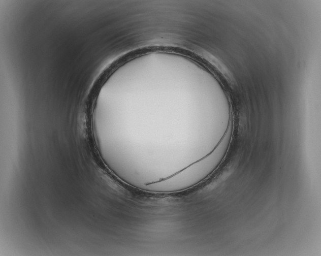 X0000112040926200908171508