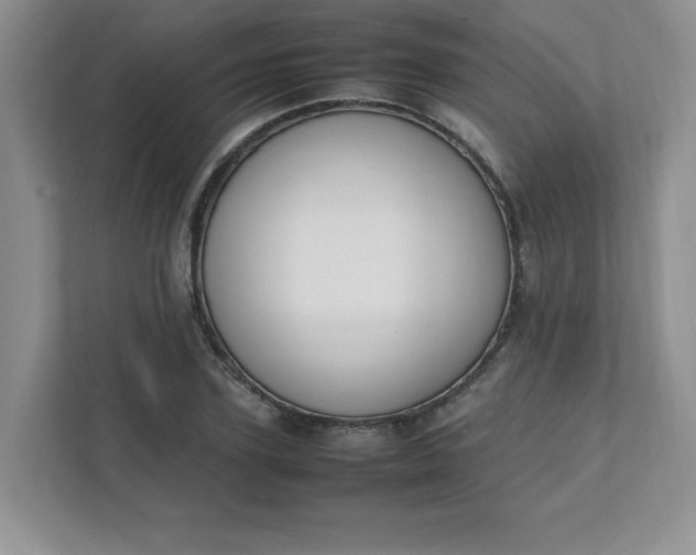 X0000112040931200908171508