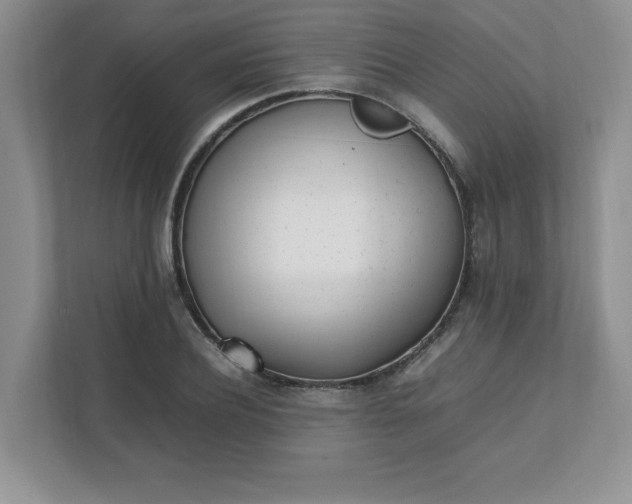 X0000112040932200908171508