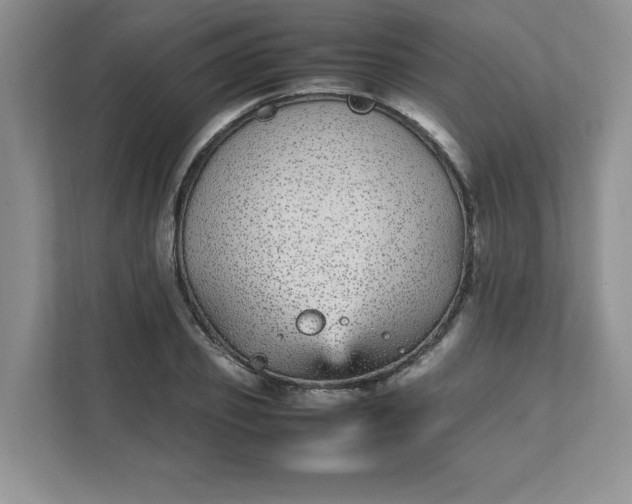 X0000112040933200908171508