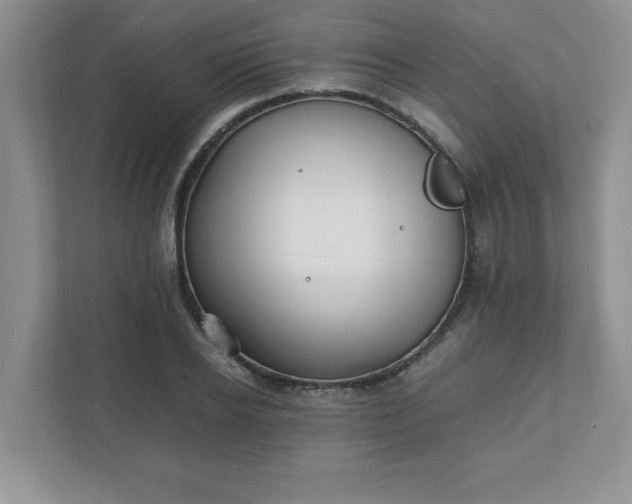 X0000112040934200908171508