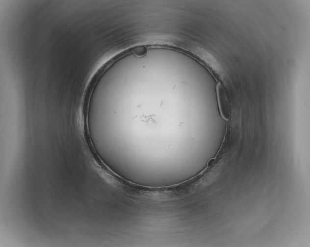 X0000112040936200908171508