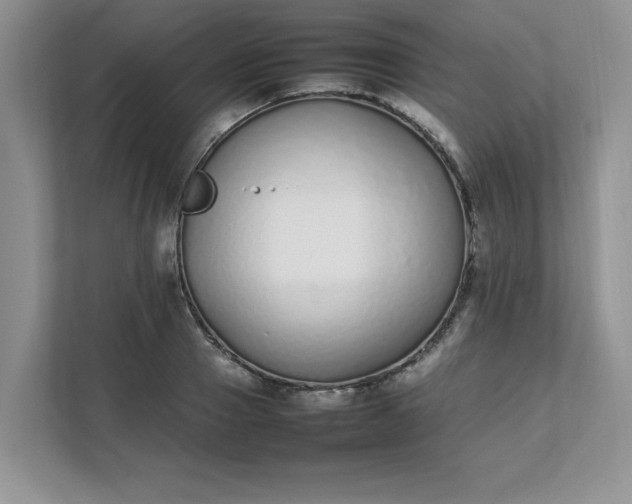 X0000112040937200908171508