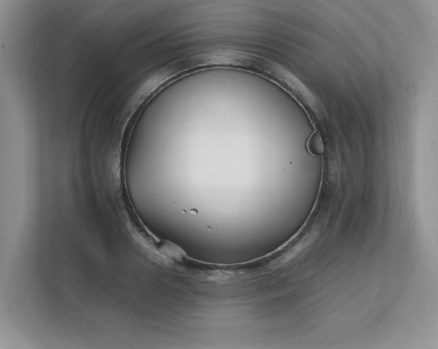 X0000112040938200908171508