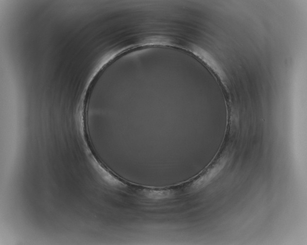 X0000112040941200908171508