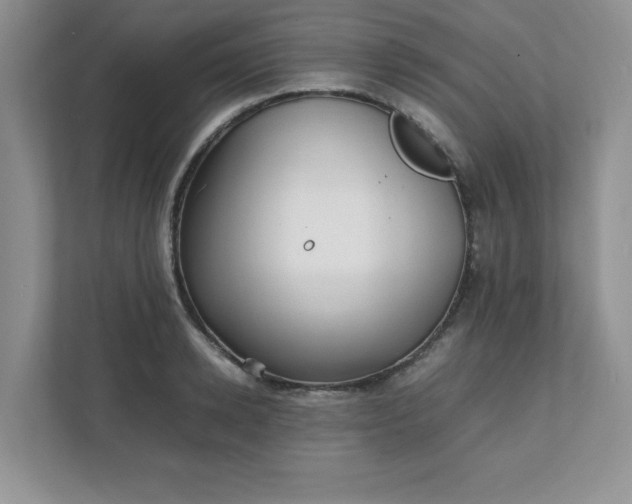 X0000112040942200908171508
