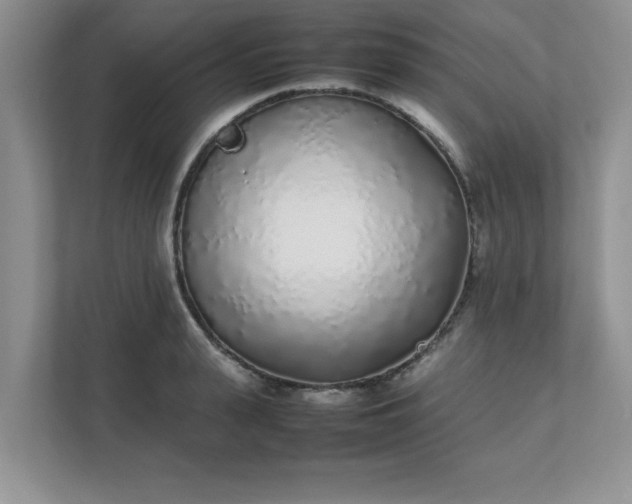 X0000112040943200908171508
