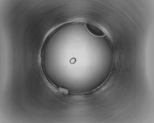 X0000112040944200908171508