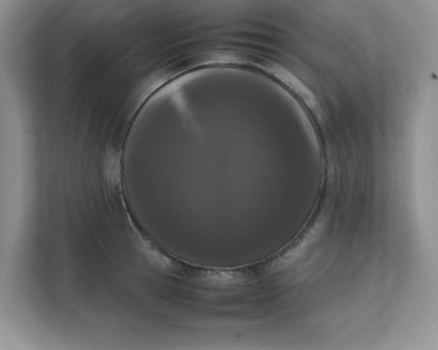 X0000112040945200908171508