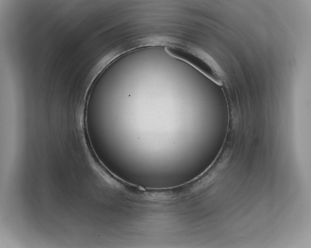 X0000112040946200908171508