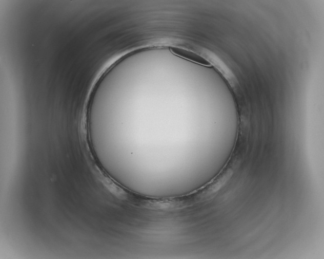 X0000112040948200908171508