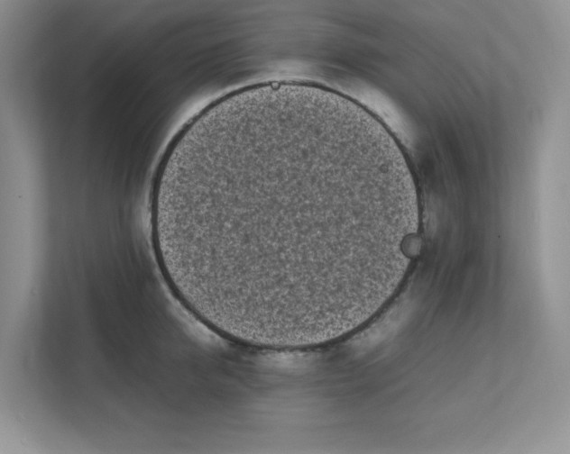 X0000112040950200908171508