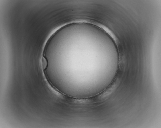 X0000112040951200908171508