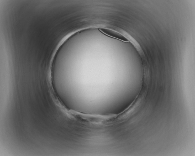 X0000112040956200908171508