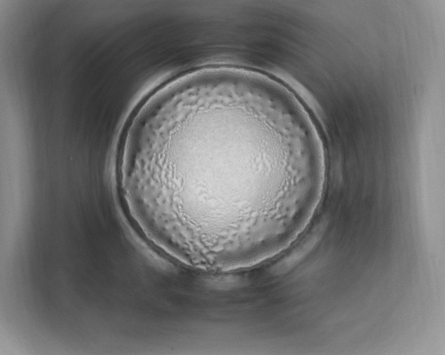 X0000112040957200908171508