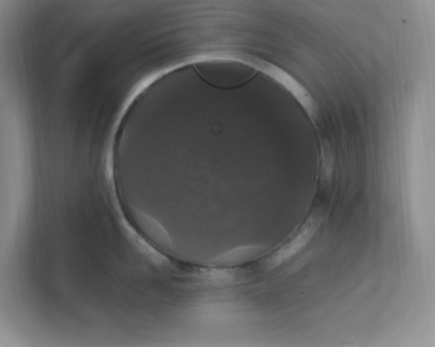X0000112040958200908171508