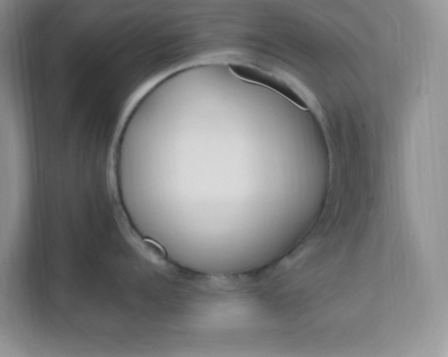 X0000112040960200908171508