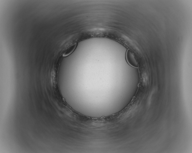 X0000112040964200908171508
