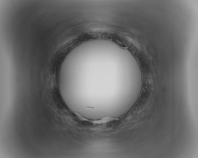 X0000112040965200908171508