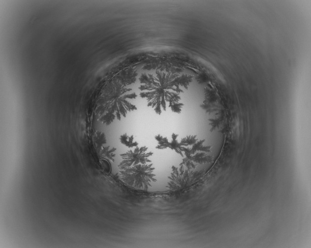 X0000112040966200908171508