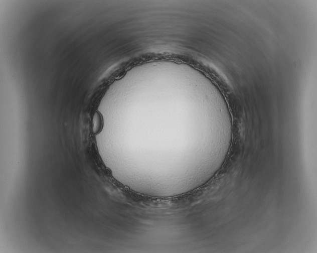 X0000112040968200908171507