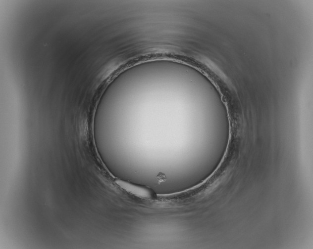 X0000112040969200908171507