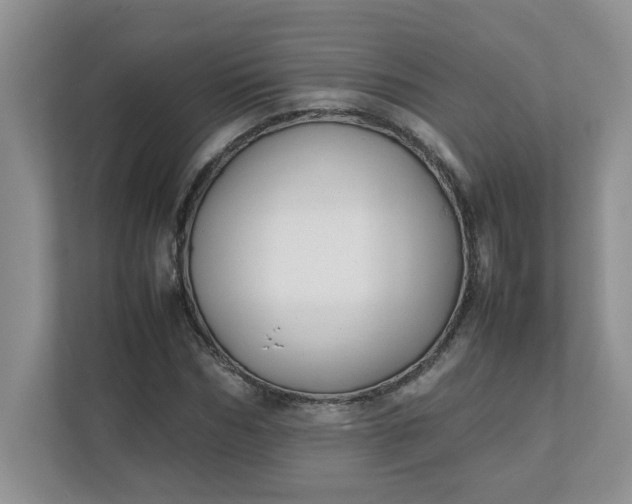 X0000112040970200908171507