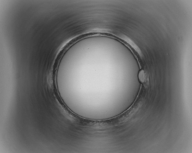 X0000112040972200908171507