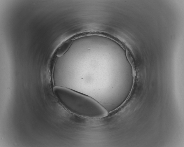 X0000112040973200908171507