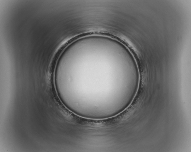 X0000112040975200908171507