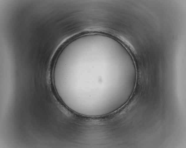 X0000112040976200908171507