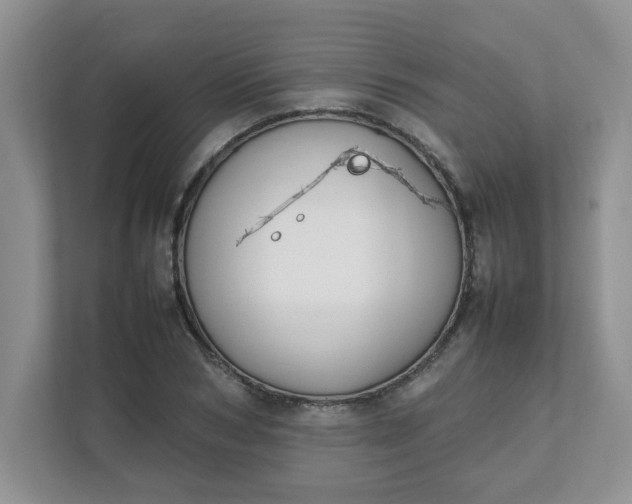 X0000112040978200908171507