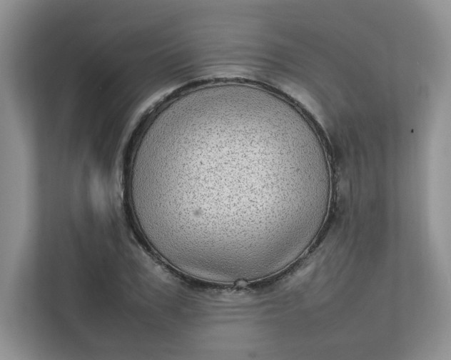 X0000112040979200908171507