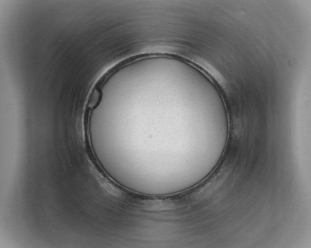 X0000112040980200908171507