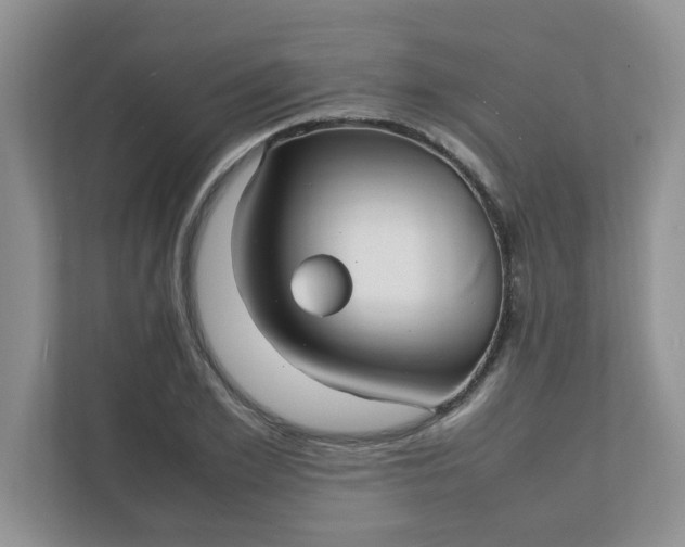 X0000112040981200908171507