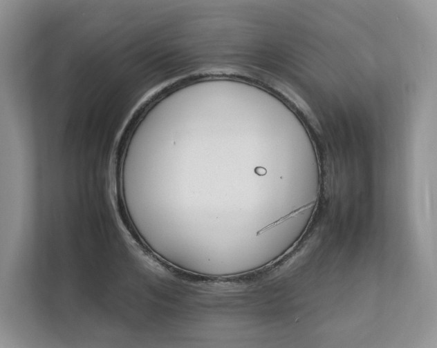 X0000112040984200908171507