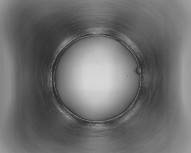 X0000112040986200908171507