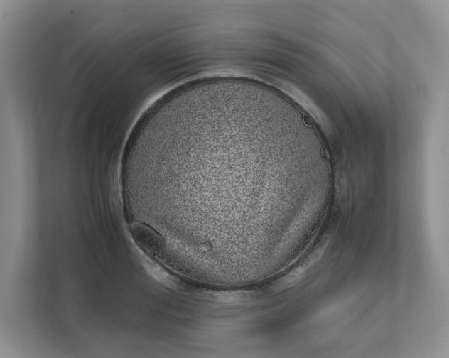 X0000112040988200908171507