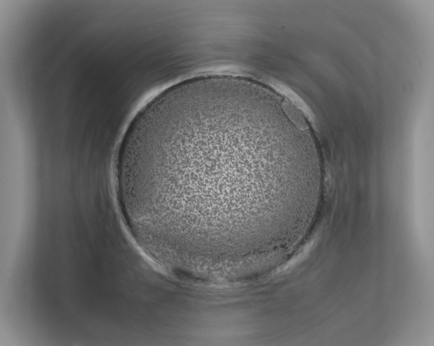 X0000112040989200908171507