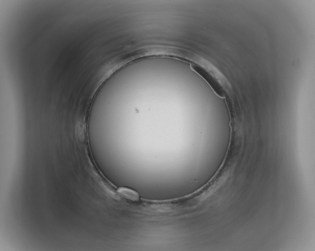 X0000112040993200908171507